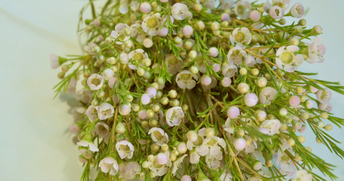 little winter bride Budget Bouquet